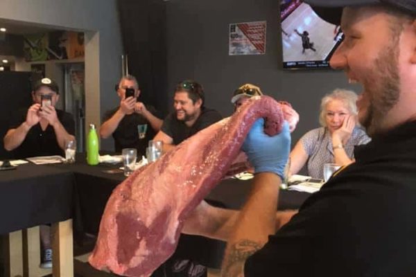 53365770_2809773535729632_3927536524614172672_n